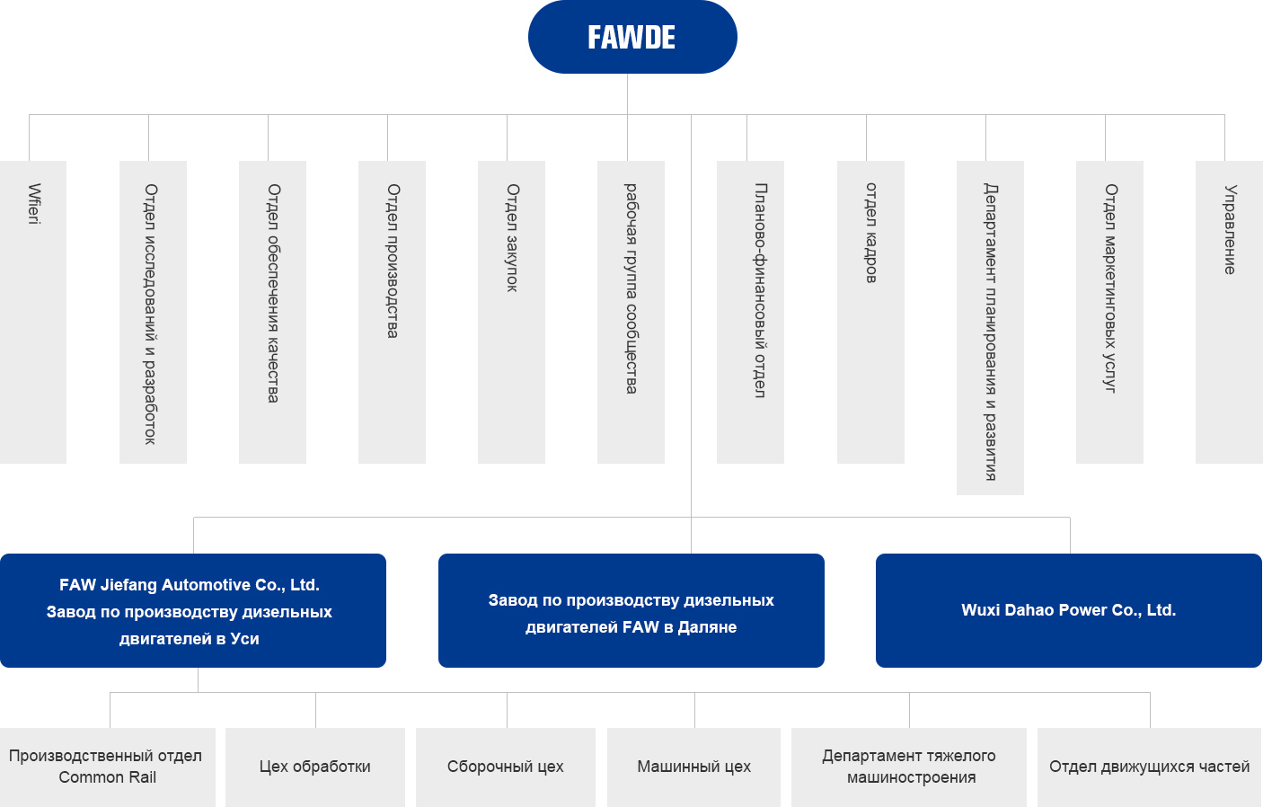 организация организация